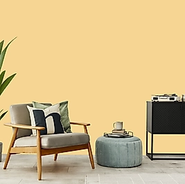 Lemon Drop Duvar Boyası / Ambalaj 2.5L