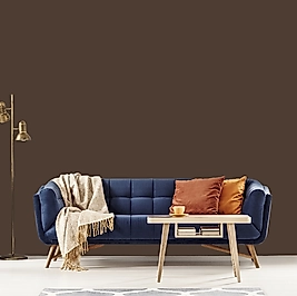 Roast Coffee Duvar Boyası / Ambalaj 2.5 L