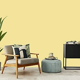 Limelight Ambalaj;2.5L