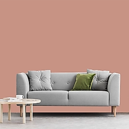 Reddish Duvar Boyası / Ambalaj 2.5 L